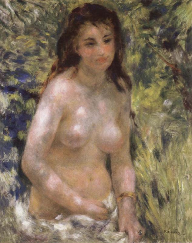 Pierre-Auguste Renoir Nude in the Sunlight oil painting picture